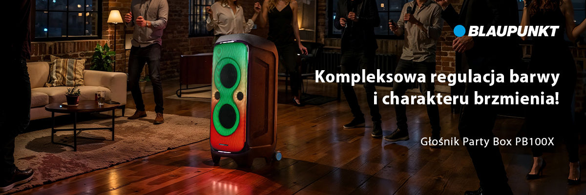 Blaupunkt-2n-Glosnik-PB100X-RTV-www-6NS03