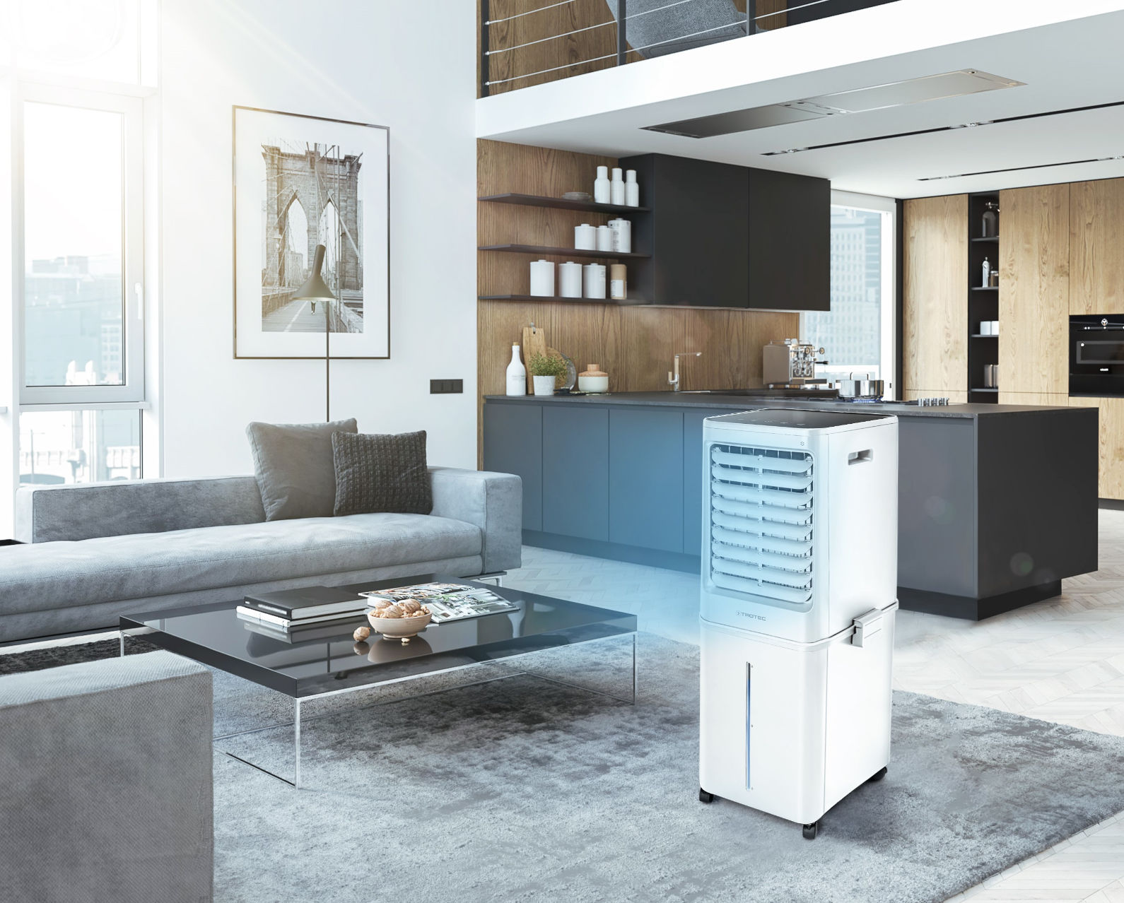 Klimatyzer Trotec Aircooler PAE 81
