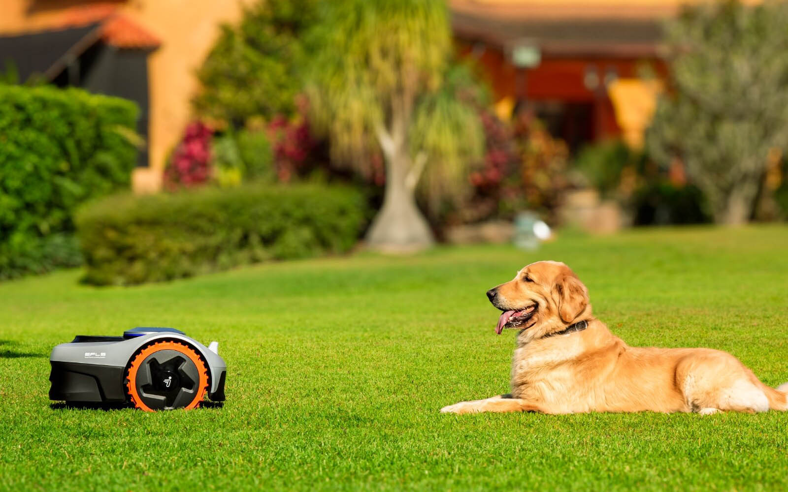 Segway wprowadza nowe roboty koszące do swojej oferty-2