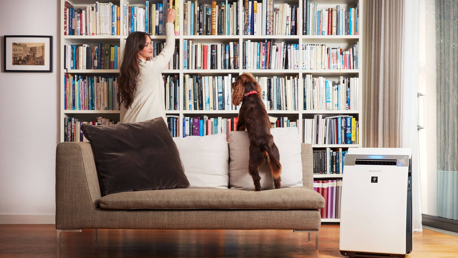 Oczyszczacze powietrza do domu