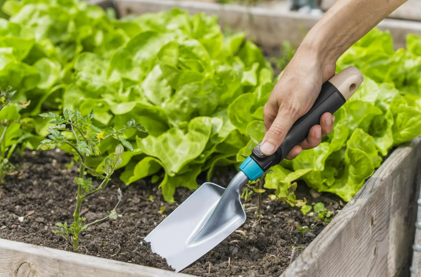 Ręczne narzędzia ogrodowe – co powinieneś mieć w garażu i jak dokonać odpowiedniego wyboru?