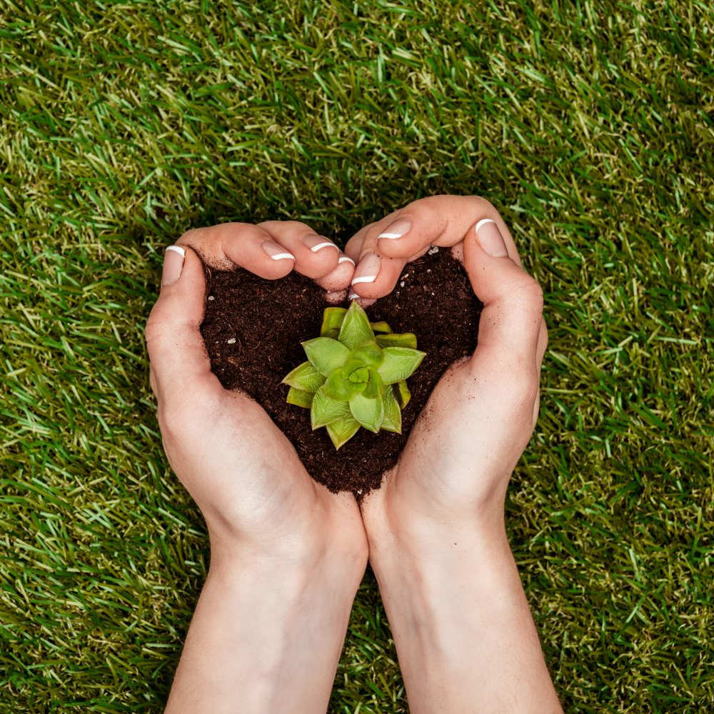 System kaucyjny a gospodarka odpadami – dlaczego same kaucje nie wystarczą?