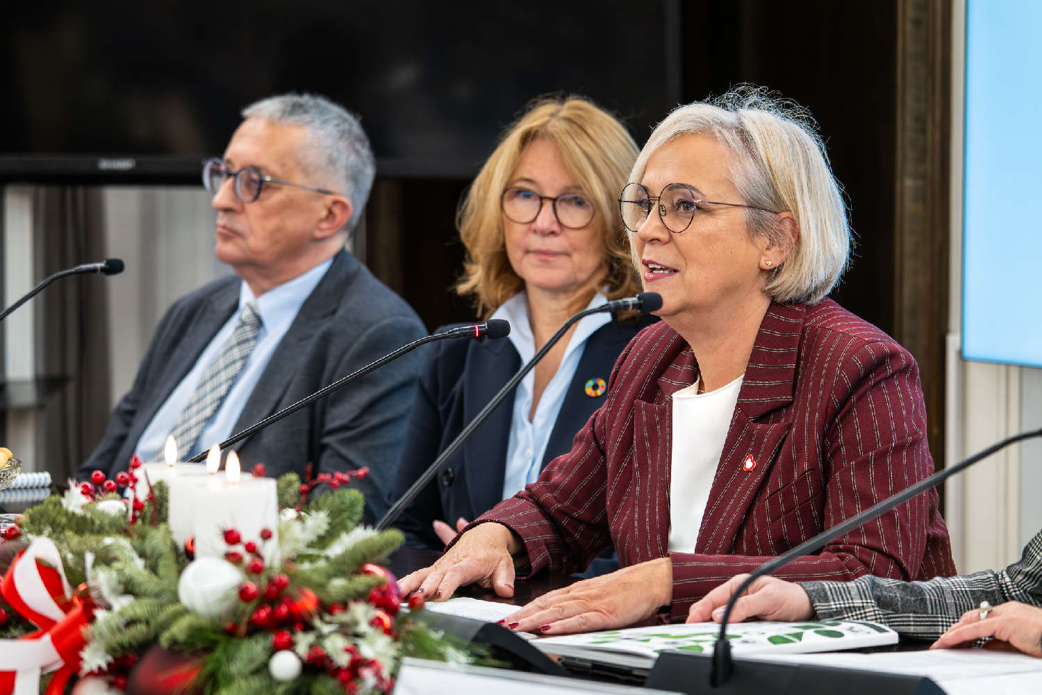 Konferencja-w-Sejmie-z-okazji-20-lecia-wprowadzenia-ustawy-o-ZSEE-3