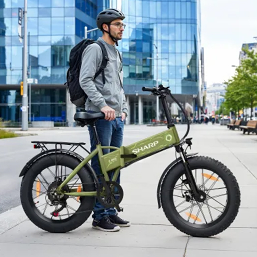 Rower elektryczny Sharp BK-FS08E